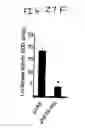 Fig. 34 - Methods and compositions for reducing activity of the atrial natriuretic peptide receptor and for treatment of diseases
