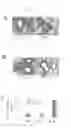 Fig. 40 - Methods and compositions for reducing activity of the atrial natriuretic peptide receptor and for treatment of diseases