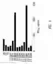 Fig. 06 - AMINO ACID SUBSTITUTED MOLECULES