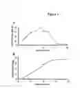 Fig. 05 - Method for the Production of Biologically Active Rhngf