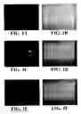 Fig. 02 - Bone tropic peptides