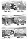 Fig. 06 - Bone tropic peptides