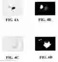 Fig. 07 - Bone tropic peptides
