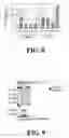 Fig. 11 - Bone tropic peptides