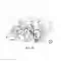 Fig. 11 - Small peptides and methods for inhibiting mucus release into airways