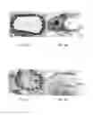 Fig. 12 - Small peptides and methods for inhibiting mucus release into airways