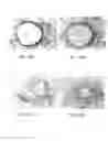 Fig. 13 - Small peptides and methods for inhibiting mucus release into airways