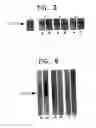 Fig. 04 - Antisense-oligonucleotides for the treatment of immuno-suppressive effects of transforming growth factor-β (TGF-β)