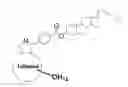 Fig. 01 - Steroid derivatives of fullerenes