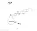 Fig. 02 - Steroid derivatives of fullerenes