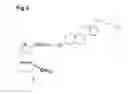 Fig. 04 - Steroid derivatives of fullerenes