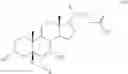 Fig. 09 - Process for preparing 3a(β)-7a(β)-dihydroxy-6a(β)-alkyl-5β-cholanic acid