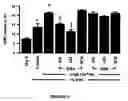 Fig. 06 - Modulation of the Expression of Estrogen Receptors for the Prevention or Treatment of Heart Disease