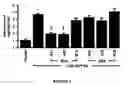 Fig. 07 - Modulation of the Expression of Estrogen Receptors for the Prevention or Treatment of Heart Disease