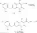 Fig. 21 - Hiv Integrase Inhibitors