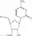 Fig. 09 - Anti-infective agents