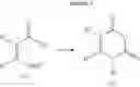 Fig. 21 - Anti-infective agents