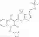 Fig. 64 - Anti-infective agents