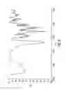 Fig. 06 - Amorphous Aprepitant Coprecipitates
