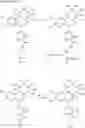 Fig. 07 - Amido-Substituted 6-Phenylphenanthridines