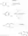 Fig. 19 - Substituted indolealkanoic acids