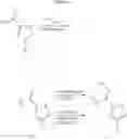 Fig. 09 - N-HYDROXYAMIDINOHETEROCYCLES AS MODULATORS OF INDOLEAMINE 2,3-DIOXYGENASE