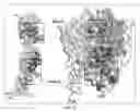 Fig. 33 - Methods and compositions of trail-death receptor agonists/activators