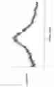Fig. 03 - Macrolide compound in solid form, process for preparation thereof, and pharmaceutical composition containing the same