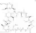 Fig. 02 - BIOMARKERS FOR SENSITIVITY OF PROLIFERATIVE DISEASES TO MTOR INHIBITORS