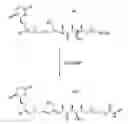 Fig. 01 - Carbamate compounds