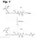 Fig. 02 - Carbamate compounds