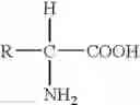 Fig. 10 - DIACYLHYDRAZINE LIGANDS FOR MODULATING THE EXPRESSION OF EXOGENOUS GENES IN MAMMALIAN SYSTEMS VIA AN ECDYSONE RECEPTOR COMPLEX