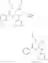 Fig. 23 - DIACYLHYDRAZINE LIGANDS FOR MODULATING THE EXPRESSION OF EXOGENOUS GENES IN MAMMALIAN SYSTEMS VIA AN ECDYSONE RECEPTOR COMPLEX