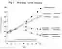 Fig. 02 - Paclitaxel enhancer compounds