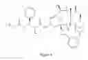 Fig. 05 - Paclitaxel enhancer compounds