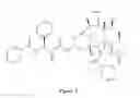 Fig. 06 - Paclitaxel enhancer compounds