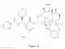 Fig. 11 - Paclitaxel enhancer compounds