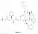 Fig. 12 - Paclitaxel enhancer compounds