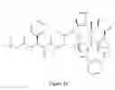 Fig. 17 - Paclitaxel enhancer compounds