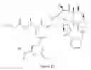 Fig. 18 - Paclitaxel enhancer compounds