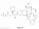 Fig. 19 - Paclitaxel enhancer compounds