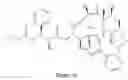 Fig. 22 - Paclitaxel enhancer compounds