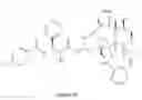 Fig. 26 - Paclitaxel enhancer compounds