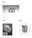 Fig. 07 - Process for producing compatibilized polymer blends