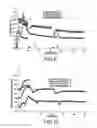 Fig. 06 - Adjustble Block Copolymer Having Acid Functional Groups and Adhesive and Thermoplastic Compositon Containing It