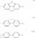 Fig. 08 - Process for the preparation of arylene fluorinated sulfonimide polymers and membranes