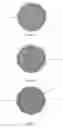 Fig. 02 - High CoR golf ball using zinc dimethacrylate