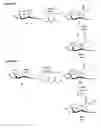 Fig. 01 - Chemoselective ligation