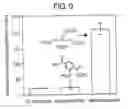 Fig. 07 - Chemoselective ligation
