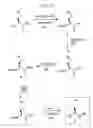 Fig. 09 - Chemoselective ligation